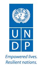 ПРООН Програма розвитку Організації Об'єднаних Націй